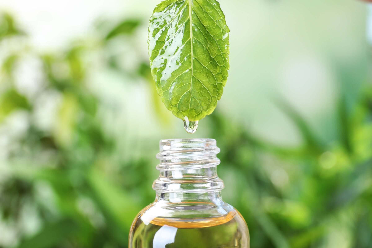 Personalized Aromatic Wellness