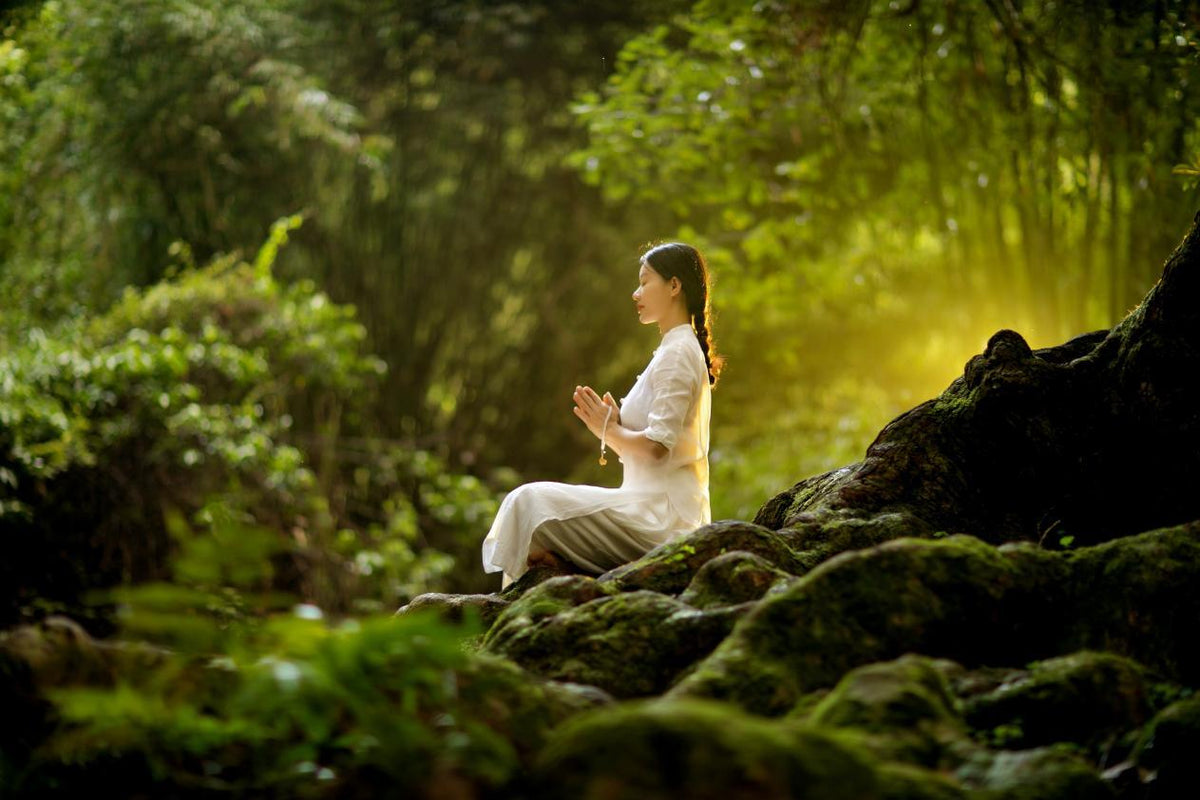 FROM FORMULATION TO RITUAL